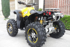 CAN-AM-Renegade-Dominator-duals