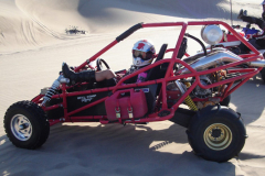 583-STINGER-BUGGY-1