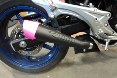 Suzuki-Gladius-650-in-Pink