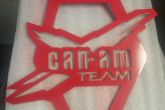 Team-CanAm-rad-plate