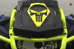 punisher-plate-mounted